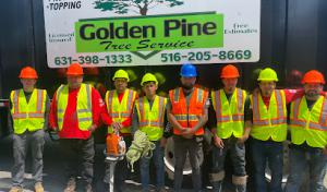 Golden Pine Tree Service
