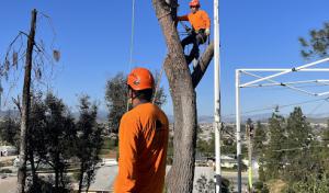 New Season Property Services