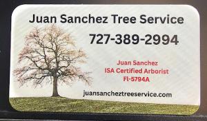 Juan Sanchez Tree Service