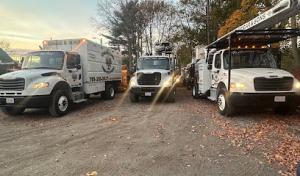 Edgar & Sons Tree Service