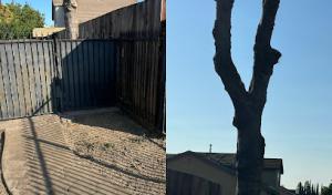 Garcia's Tree Service