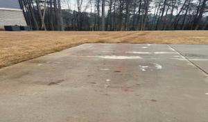 Blair & Company Tree Care