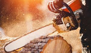 High Line Tree Service