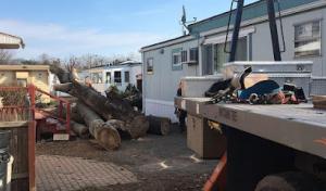 Whitcomb Tree Service