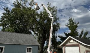 Cutting Edge Tree Services