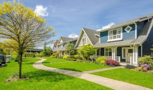 KnockOut Outdoor Services