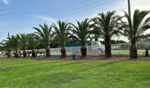Father & Son Tree Service