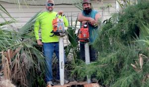 Big Fish & Little Fish Tree & Lawn Service