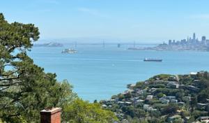 The Small World Tree Company