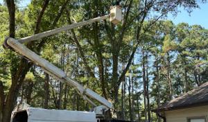 Pete’s Tree Service