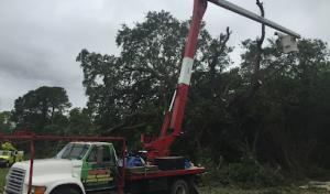 Justin's Tree Care & Stump