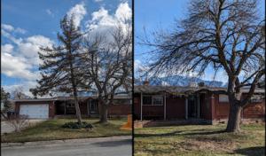 Oaklynd Tree Service