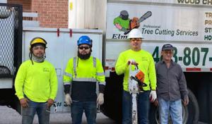 Elmer's Tree Service