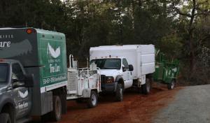 Sierra Pacific Tree Care