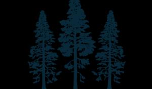 Timber Stand Improvement