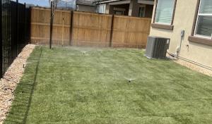 The Four Winds tree & landscape design