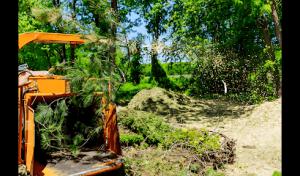 Santa Rosa Tree Service
