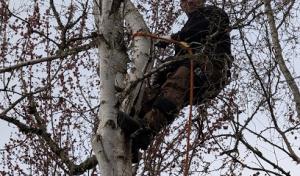 Caudle's Tree Service