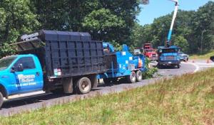 Bergholz's Tree Experts