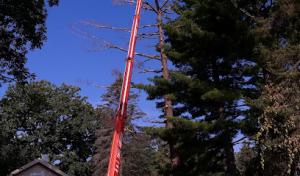 Strong Island Cesspool & Drain | 24/7 Cesspool Service | Cesspool Pumping