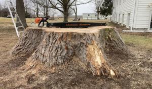 Housley Tree Company