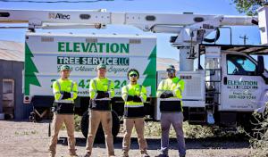 Elevation Tree Service LLC, Magic Valley