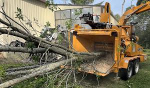 Black River Tree & Power