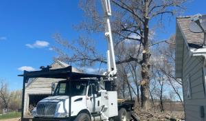 Custom Cuts Tree Service