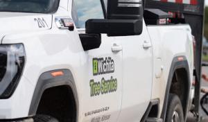 Wichita Tree Service