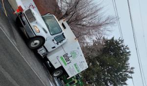 Uribe's Tree Service