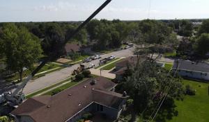 Lowney's Tree Service