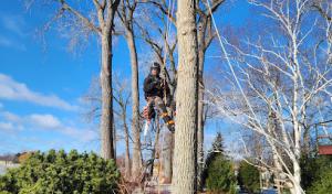 Smart Septic Pros