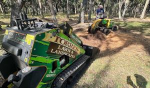 Torres Tree & Landscape