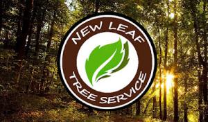 New Leaf Tree Service