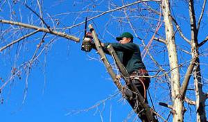 Keller Tree Service