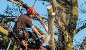 Schultz Septic Service