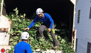 Leal & Jack Tree Service