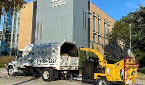 Felix's Tree Services & Landscaping