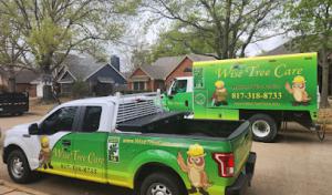 Wise Tree Care