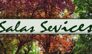 Salas Services