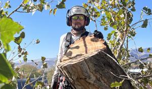 Colorado Premier Tree Care