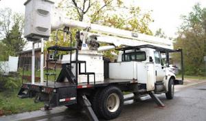 Tree Service Thornton