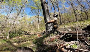 Gravity Works Tree Service