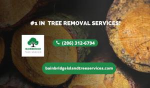 Five Star Contractors