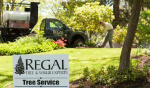 Regal Tree & Shrub Experts