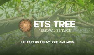 ETS Tree Removal Service