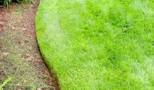 BSKC Soil & Septic Services
