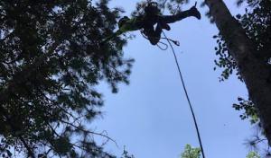 Klein Creek Tree Care ( Formerly S.O. Tree Care LLC )