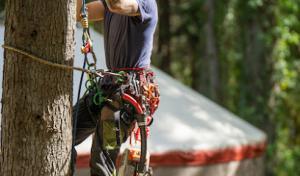 Pine & Ponder Tree Service