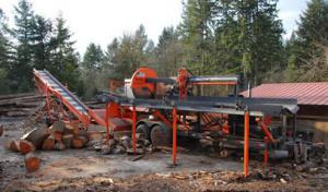 P'n'D Logging & Tree Service